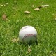 Pelota Koufax
